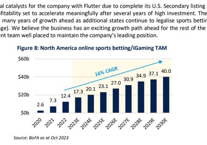 Flutter Reports 20% Increase in Revenues for Q2 2024 and Confirms No Surcharge Plans